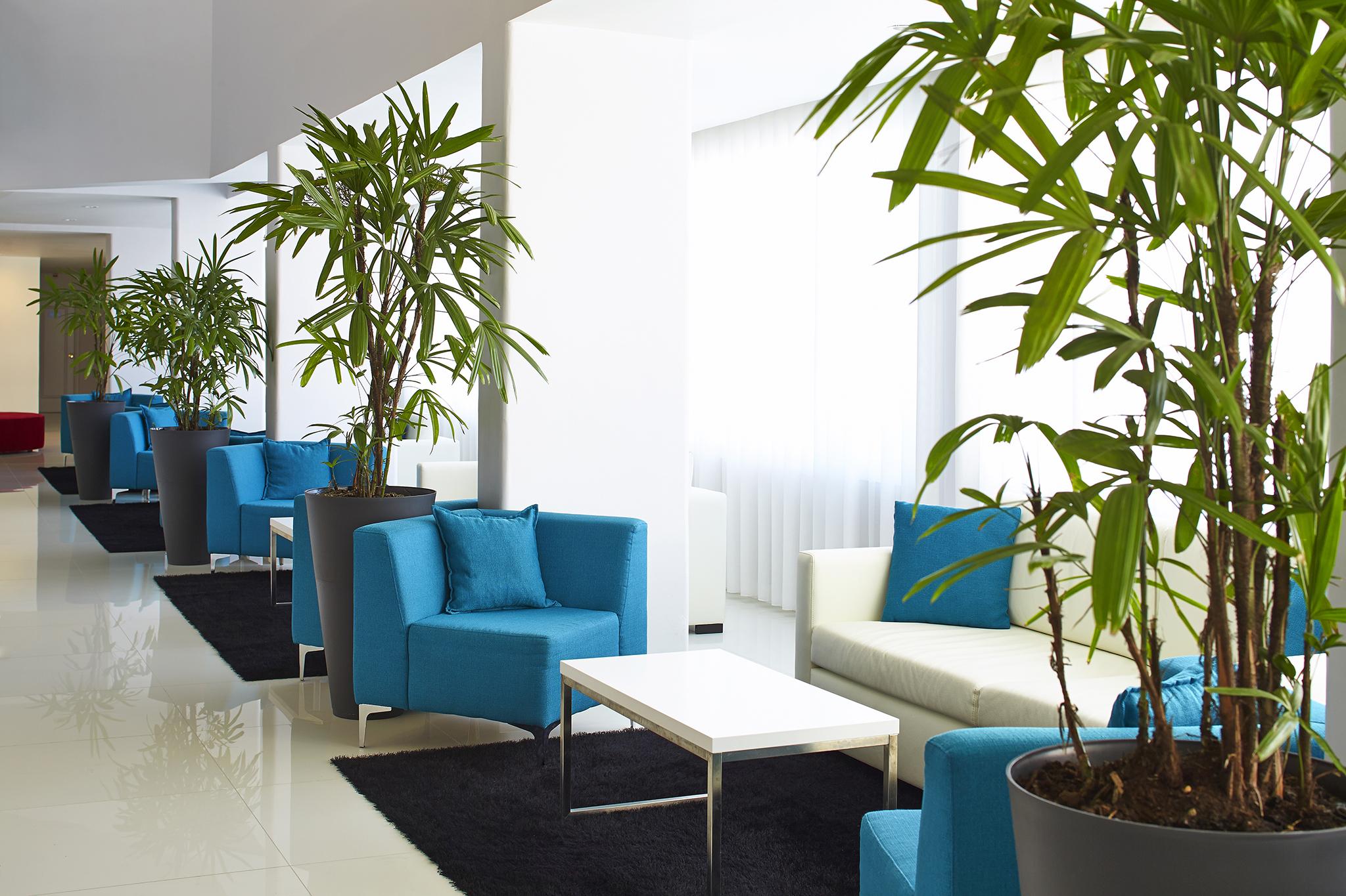 Luna Miramar Club Albufeira Exterior photo